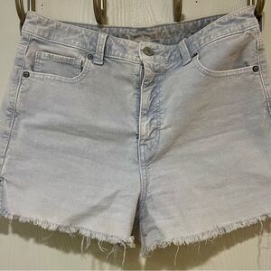 American Eagle Outfitters Light Blue Corduroy Shorts